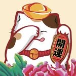 meow_bbq 프로필 사진