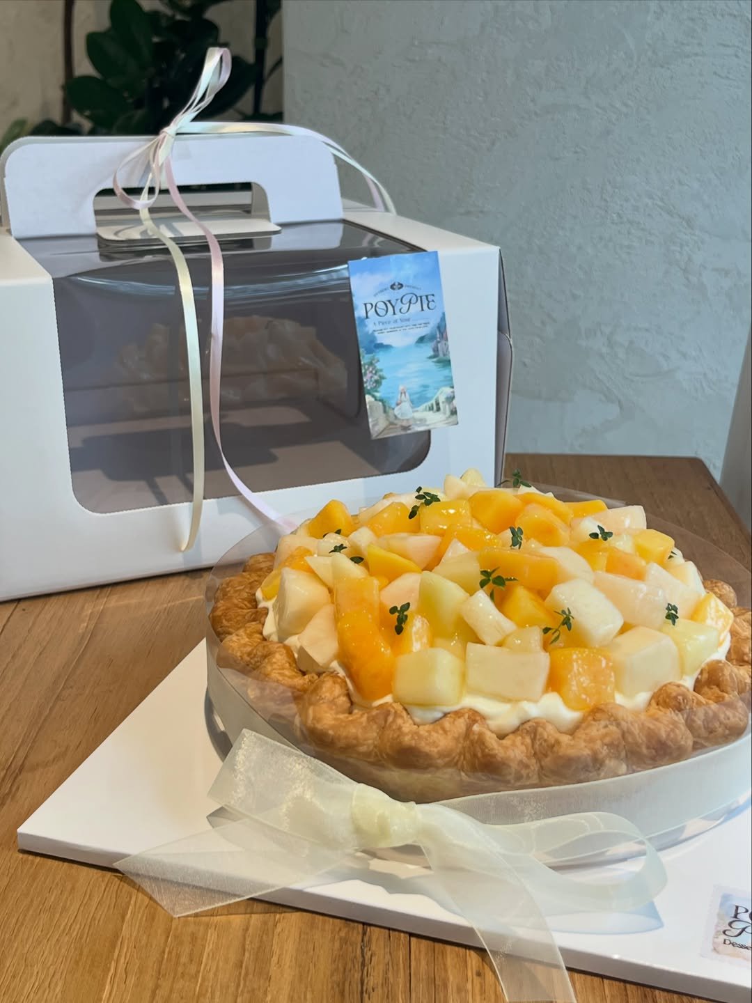poy_pie_shop 게시물 이미지: 10시 30분 OPEN💫

복숭아 와르르르르 요거 홀파이🍑🤍

〰️파이...