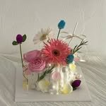 plum.mood_ 프로필 사진