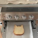 gday_my_own 프로필 사진