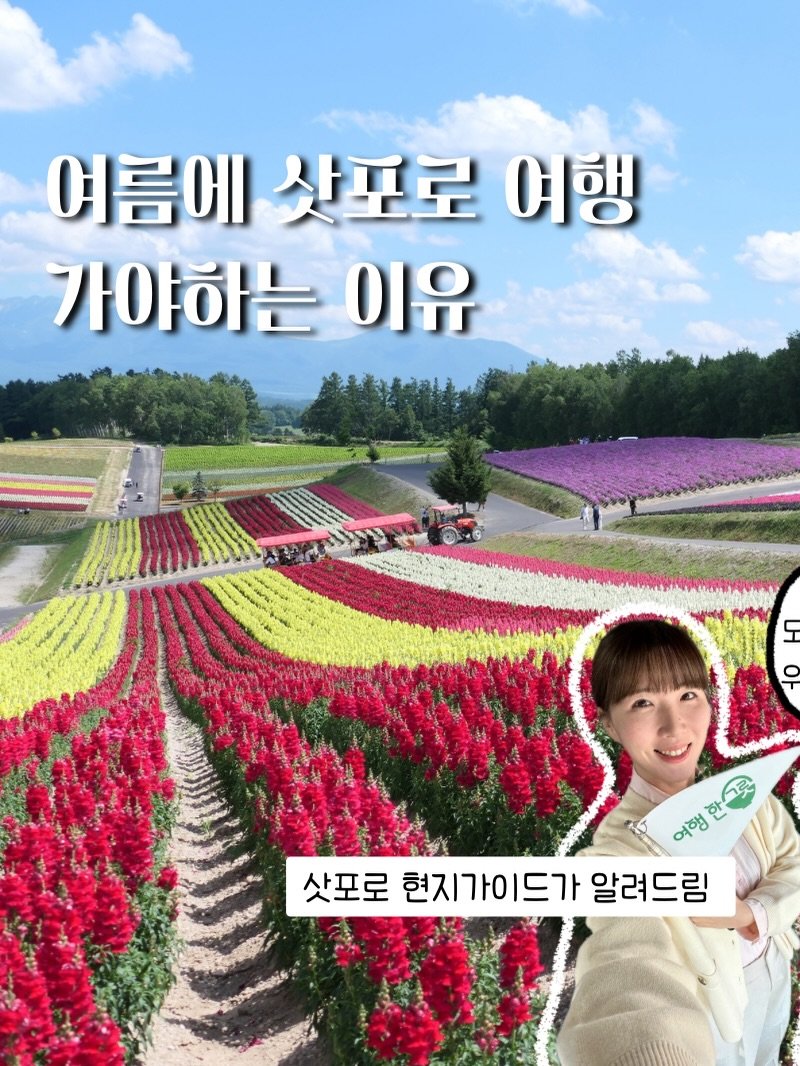 Photo by 포로리 🇯🇵 삿포로 현지 가이드 on April 22, 2026. May be an image of ‎baby's-breath and ‎text that says '‎여름에삿포로0 여름에 삿포로 여행 가야하는 이유 도 우 ਆ 이행한스 دد 삿포로 삿포로현지가이드가알려드림 현지가이드가 알려드림‎'‎‎.