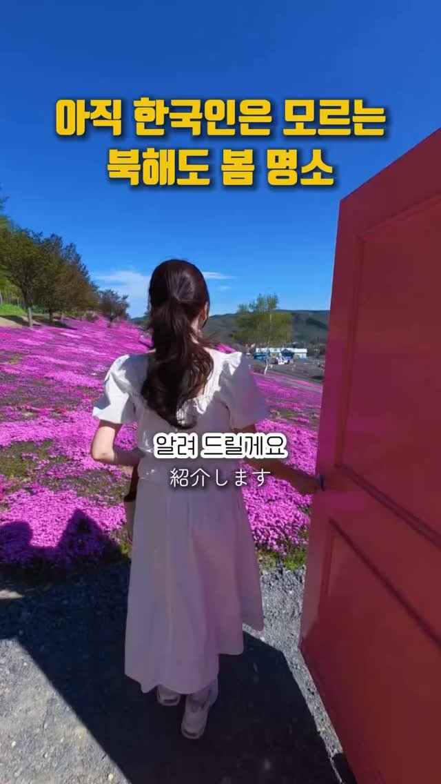 pporo_lee 게시물 이미지: 곧 북해도 가는 친구에게 보내주기💌

안녕하세요. 포로리입니다.💕
지난주에 꽃잔디를...