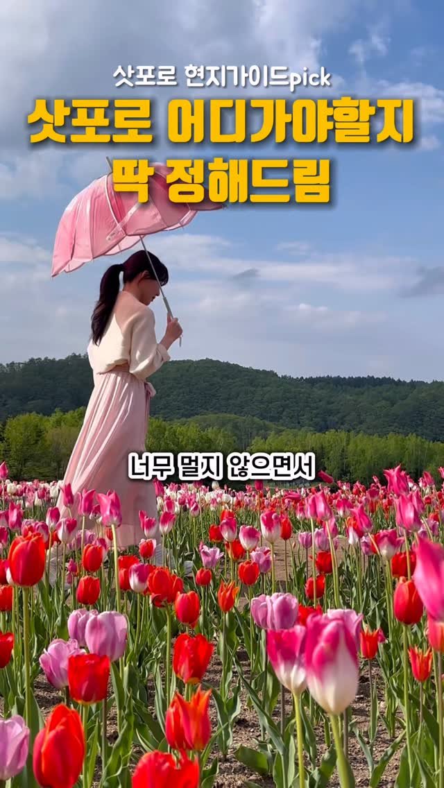 pporo_lee 게시물 이미지: 🚨긴급‼️튤립축제는 5월 31일까지!!