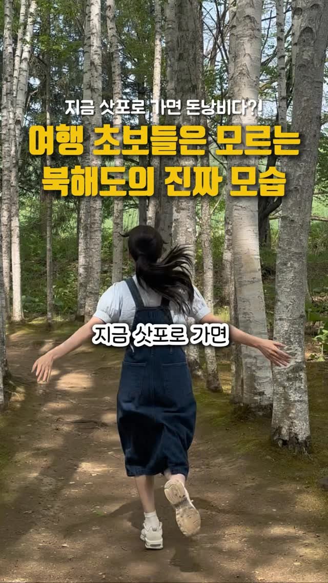 pporo_lee 게시물 이미지: 내년 봄 여행 미리 준비하세요‼️