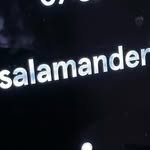 hwangjinkin 프로필 사진