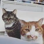 bohuy_kim 프로필 사진