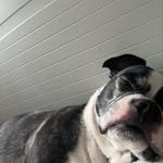 minkyumen 프로필 사진