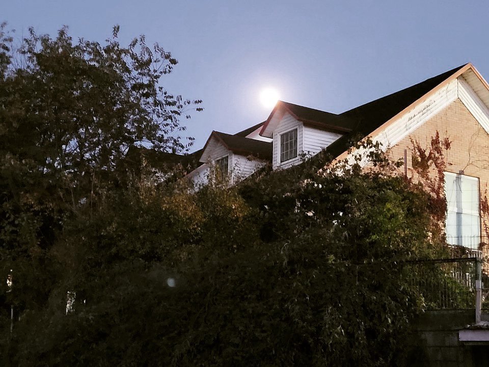 Photo by 손희윤 on November 01, 2020.