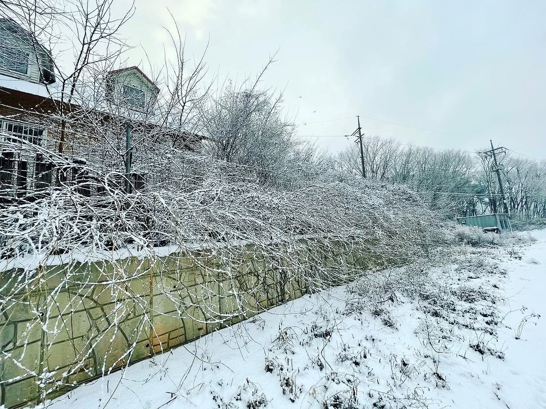 Photo by 손희윤 on January 12, 2021.