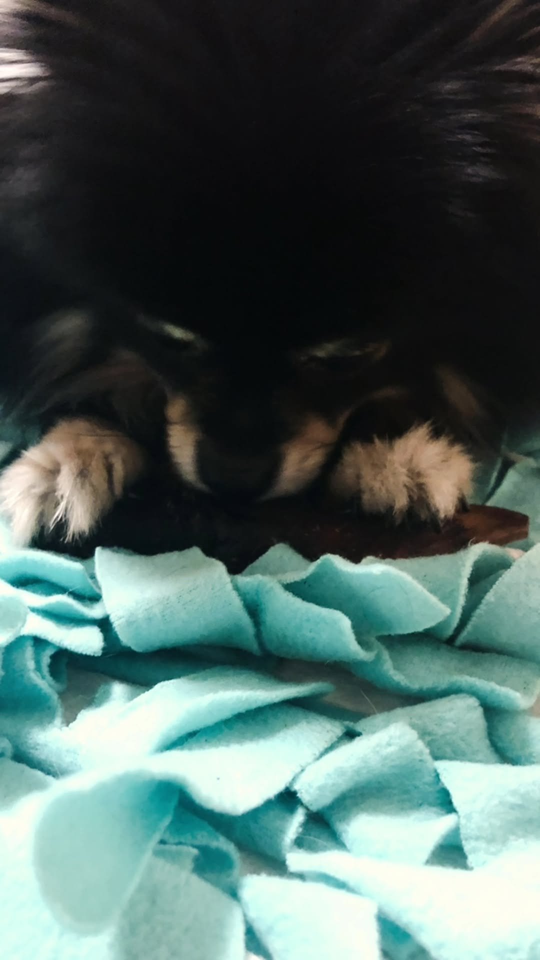 praying2u 게시물 이미지: 