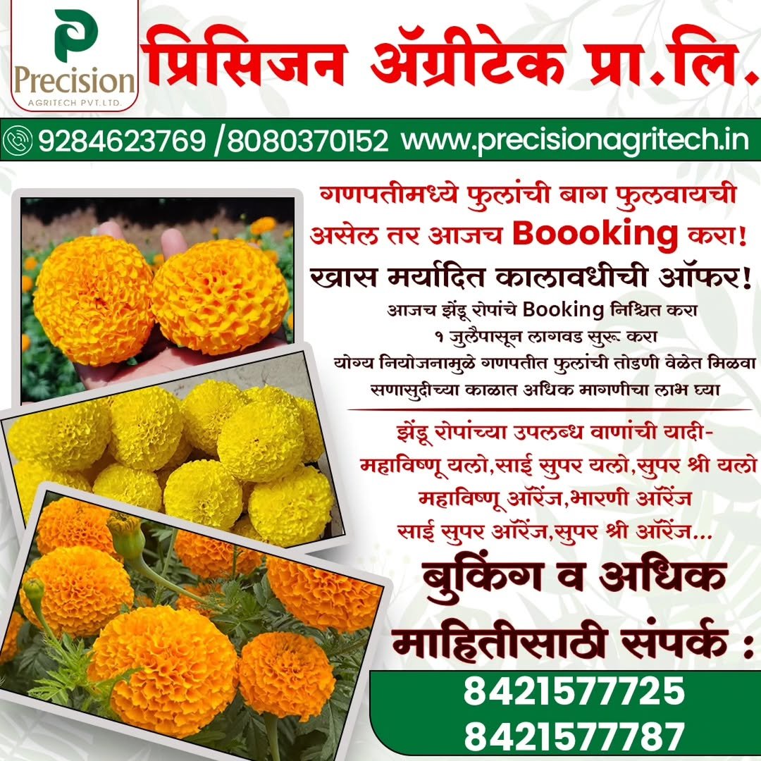 precision_agritech 게시물 이미지: 🌼 गणपतीमध्ये फुलांची बाग फुलवायची असेल तर आजच...