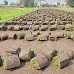 samarth_garden_lawn 프로필 사진
