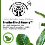 creative_hitech_nursery 프로필 사진