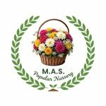 m_a_s_popular_nursery_up_34 프로필 사진