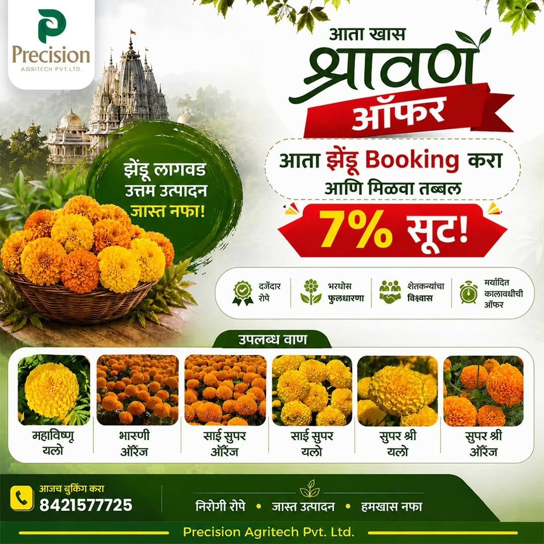 precision_agritech 게시물 이미지: 🌼 आता खास श्रावण ऑफर 🌼

आता झेंडू Booking...