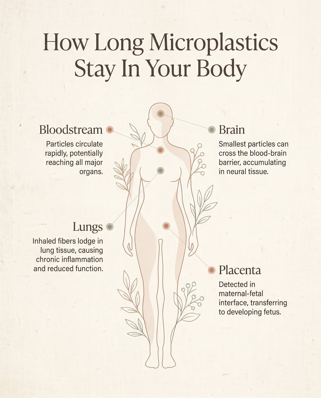 primalsprincess 게시물 이미지: Most people think microplastics just pass...