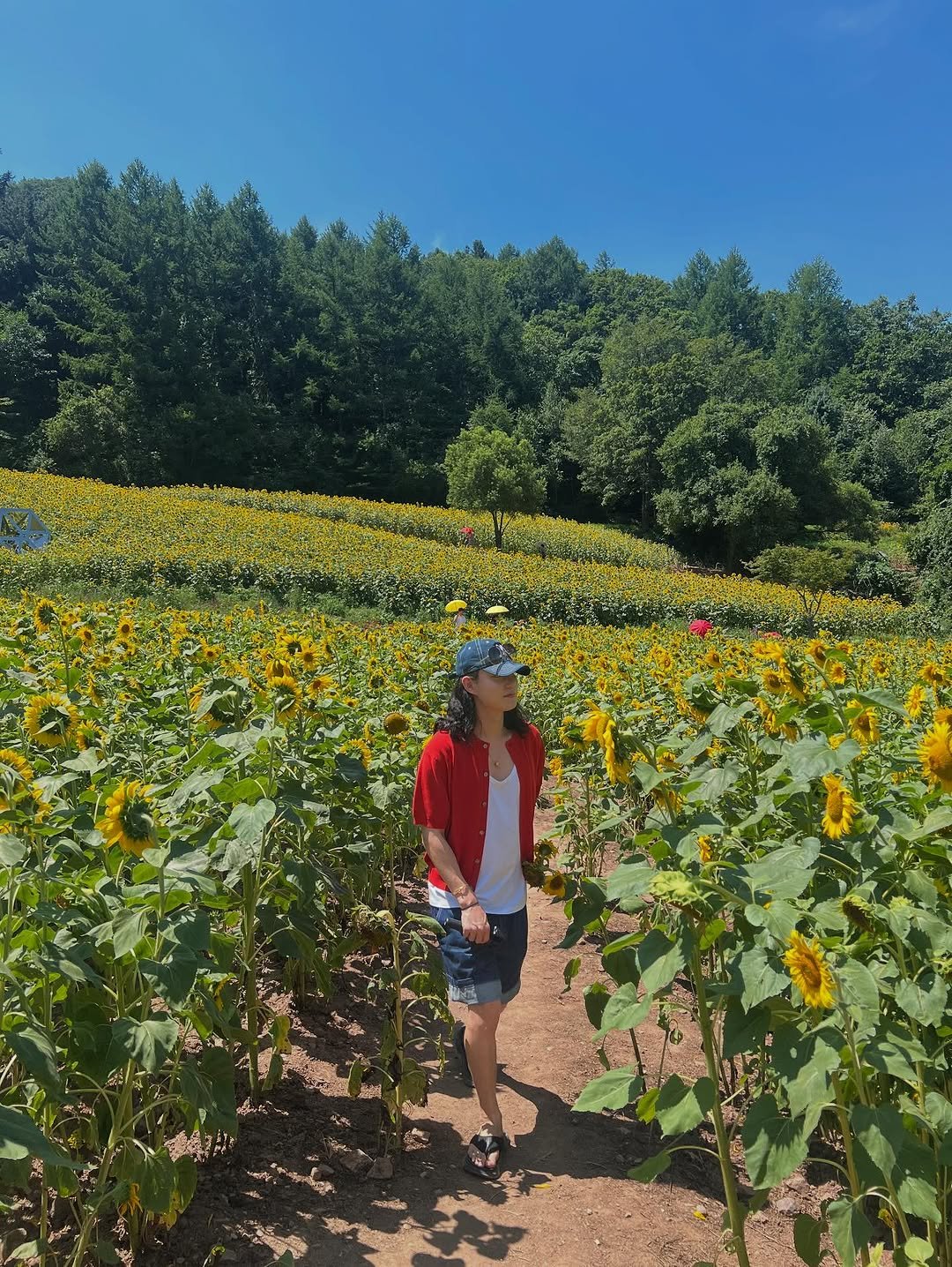 Photo by 박재훈 on August 01, 2025. May be an image of 1 person and text.