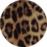 sobhitad 프로필 사진