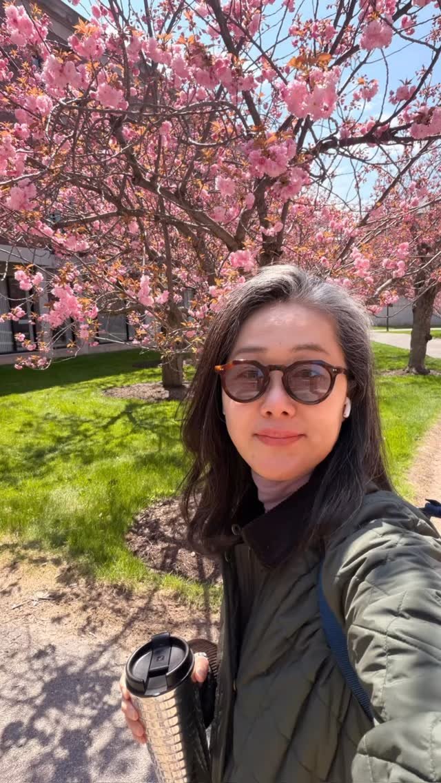 prof.lee_2nteraction 게시물 이미지: Spring has sprung on campus🌸
저희 학교 캠퍼스에 드디어...