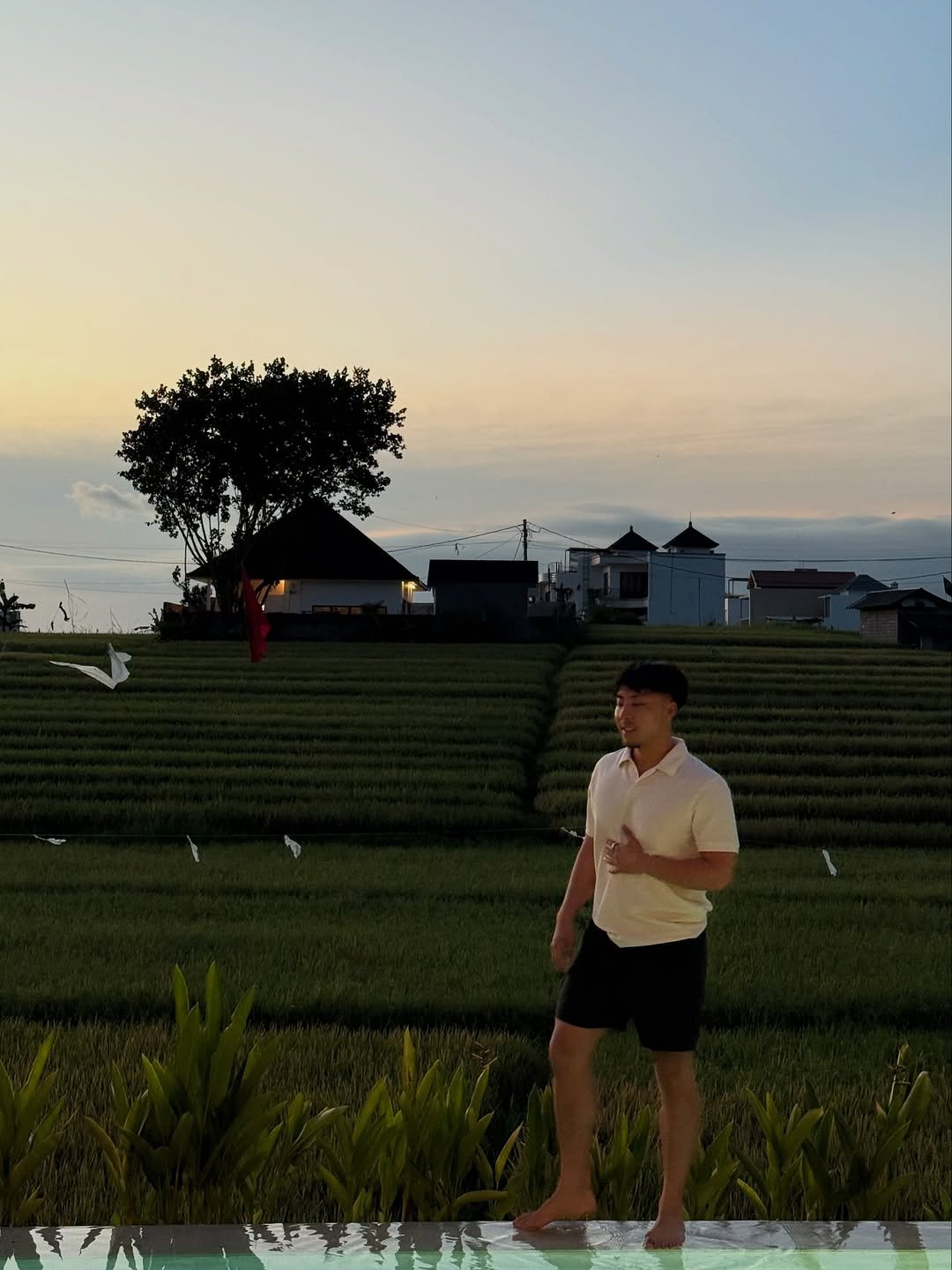 Photo by Angelo Castillo on November 13, 2025. May be an image of twilight, grass and text.