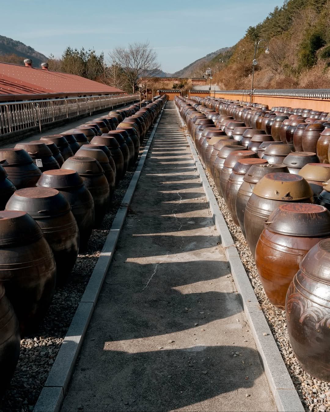 Photo shared by 면 서울 on January 12, 2026 tagging @c.ssikkk, @zae_hoya, @projectsyun, and @wo_ni_k. May be an image of text.