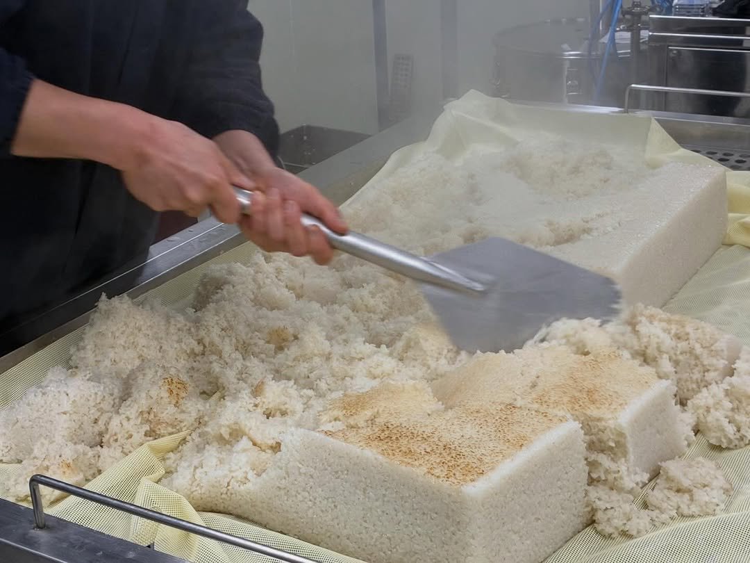 Photo shared by 면 서울 on February 11, 2026 tagging @c.ssikkk, @_____krj, @zae_hoya, @projectsyun, and @wo_ni_k. May be an image of tofu, crumbcake, couscous, mozzarella and text.