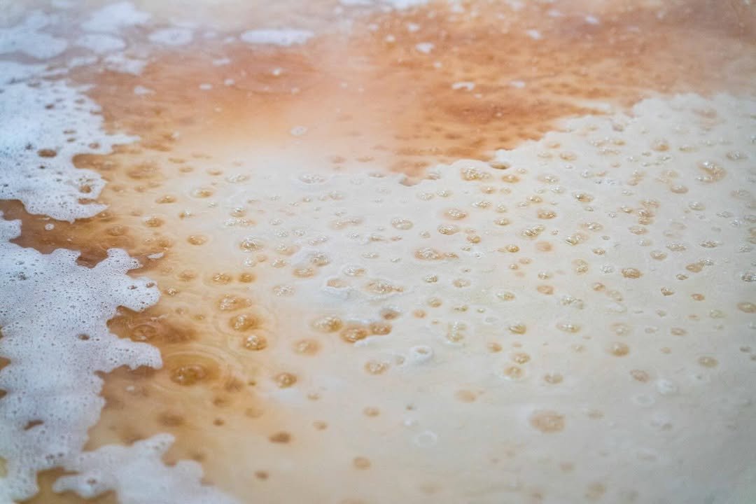 Photo shared by 면 서울 on February 03, 2026 tagging @c.ssikkk, @_____krj, @zae_hoya, @projectsyun, and @wo_ni_k. May be an image of text.