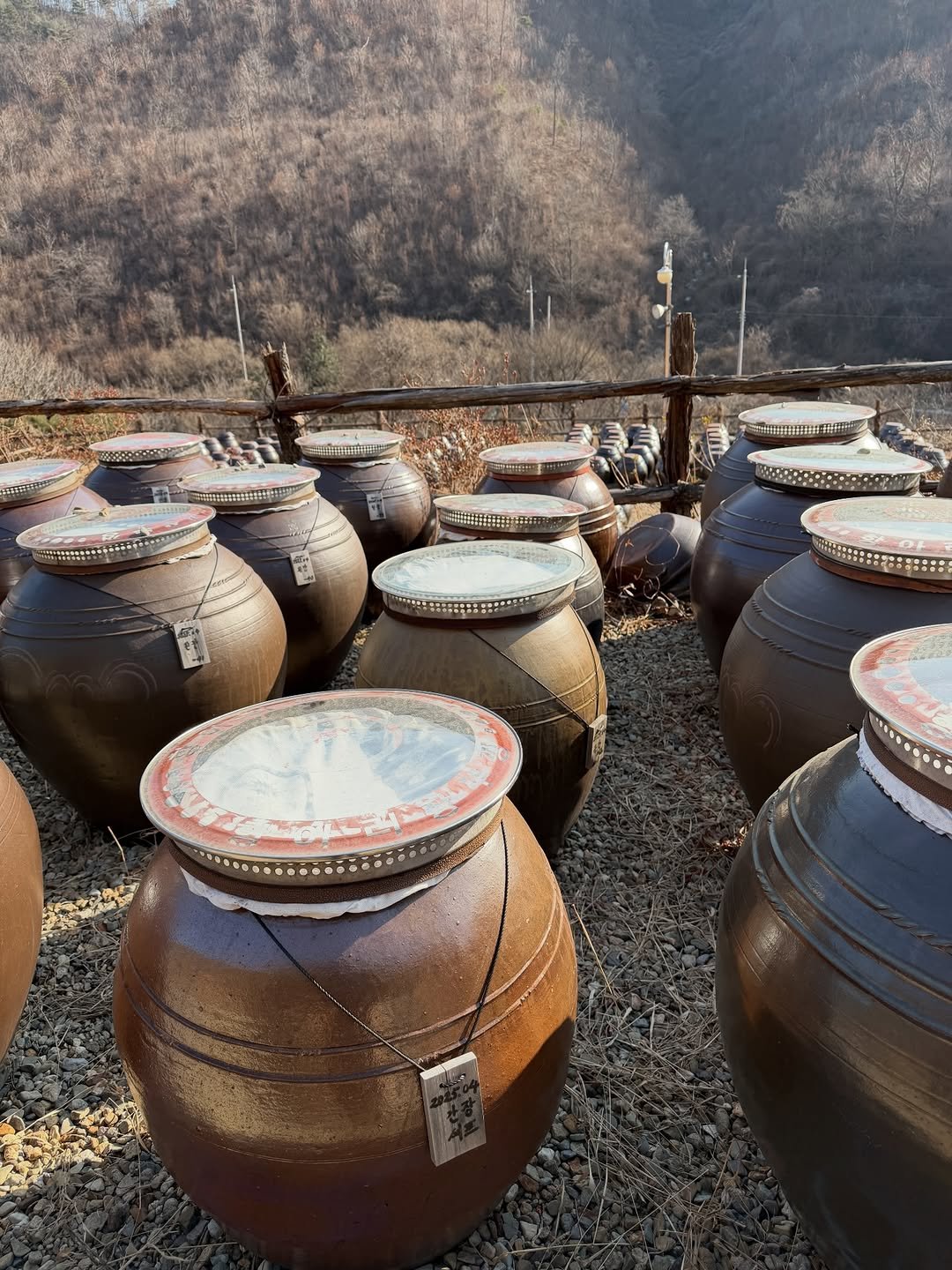 Photo by 김도윤 Doyun Kim on January 30, 2026. May be an image of pottery, pot, urn and text.