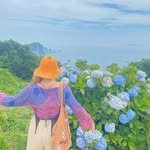 moonvi_tarot 프로필 사진