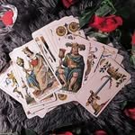 starstartarot 프로필 사진