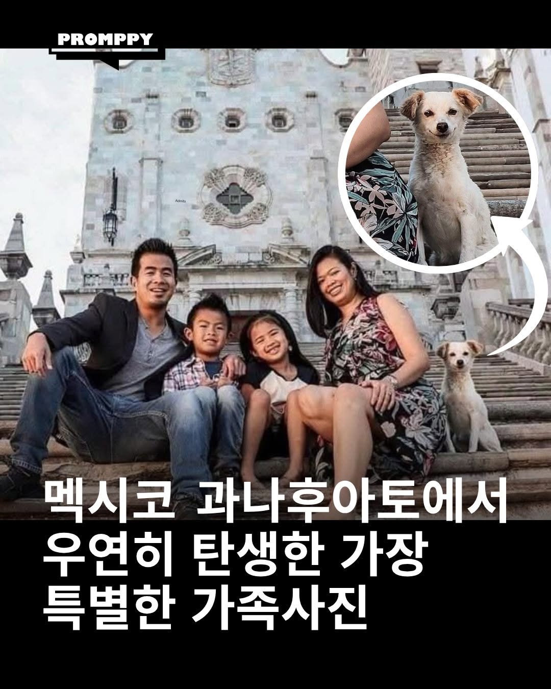 promppy_com 게시물 이미지: 🐶 멕시코 과나후아토에서 우연히 탄생한 가장 특별한 가족사진
여행 중이던 한 가족은...