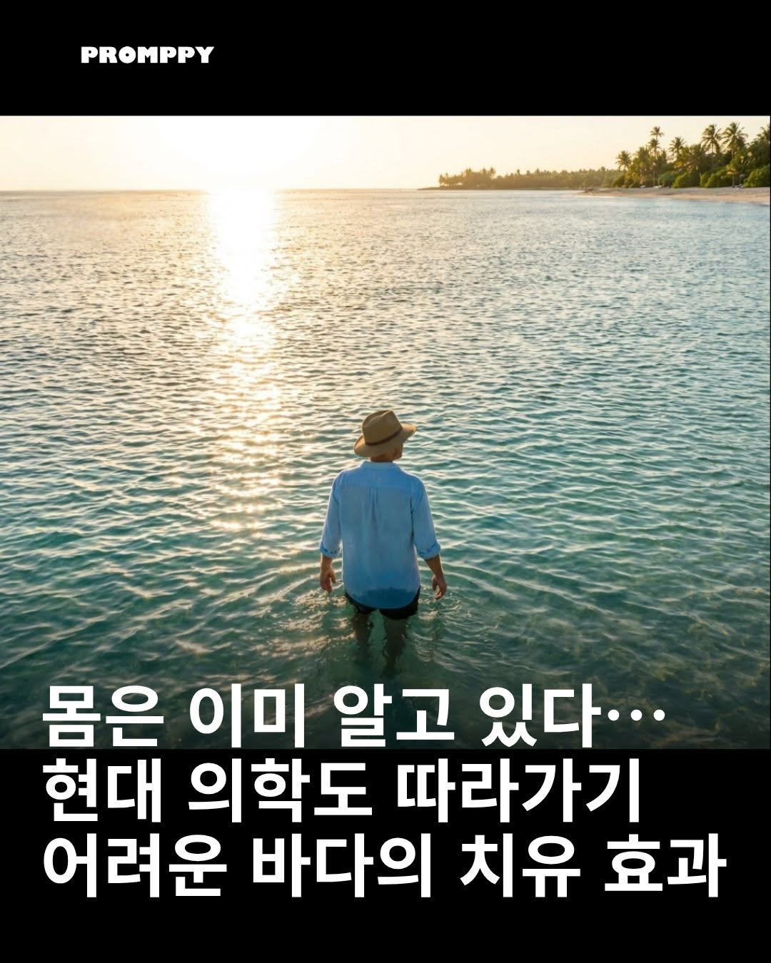 promppy_com 게시물 이미지: 🌊 바다는 현대 의학이 해결하기 어려운 것들까지 치유할 수 있다는 주장…몸은 이미...