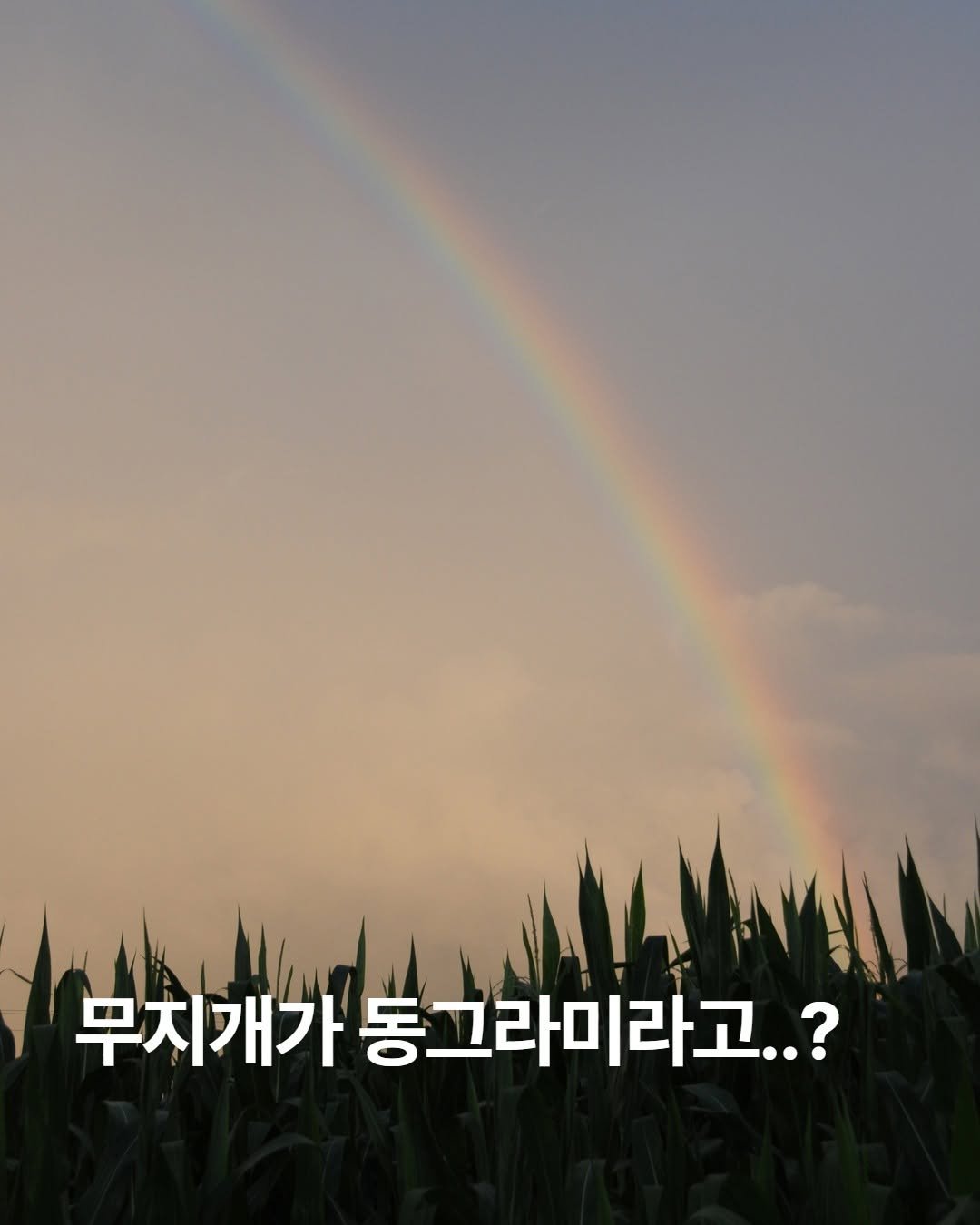 Photo by 푸른숲주니어 on September 28, 2025. May be an image of text that says '무지개가 동그라미라고..?'.