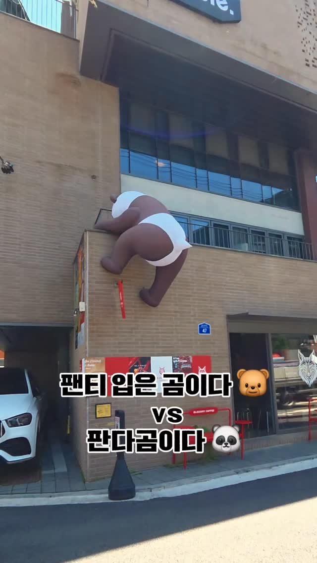 psoopjr 게시물 이미지: 논란의 곰..

팬티 입은 곰이다! 
했는디...

읭....? 판다 아니야...??