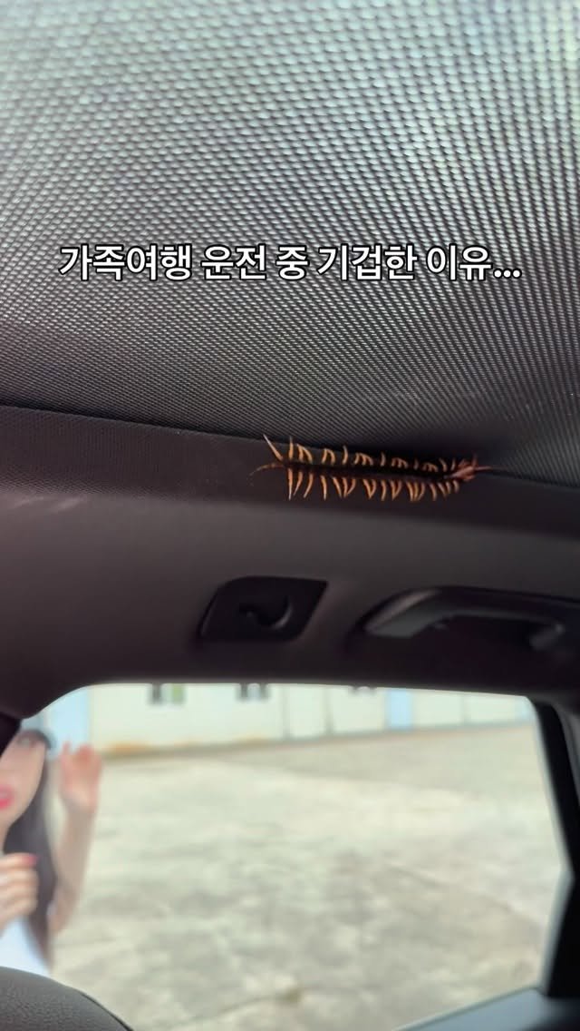 psych_ur_mind 게시물 이미지: 바다로 떠난 가족여행. 집으로 돌아오는 길. 
아내차를 운전하고 있었는데.. 갑자기...