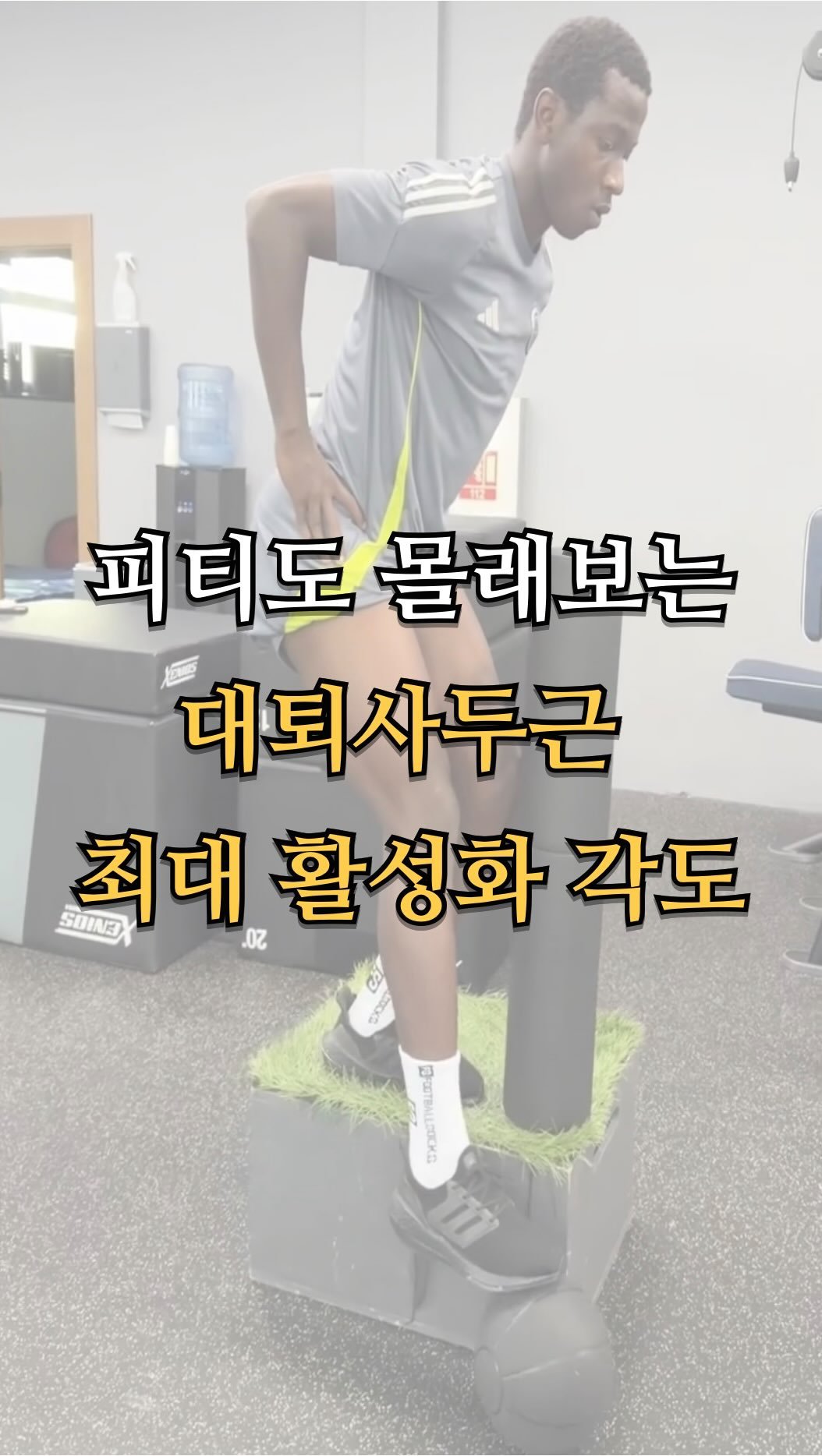 pt.studio_ 게시물 이미지: 피티도 몰래보는 대퇴사두근 최대 활성화 각도

Akima et al. (2023,...