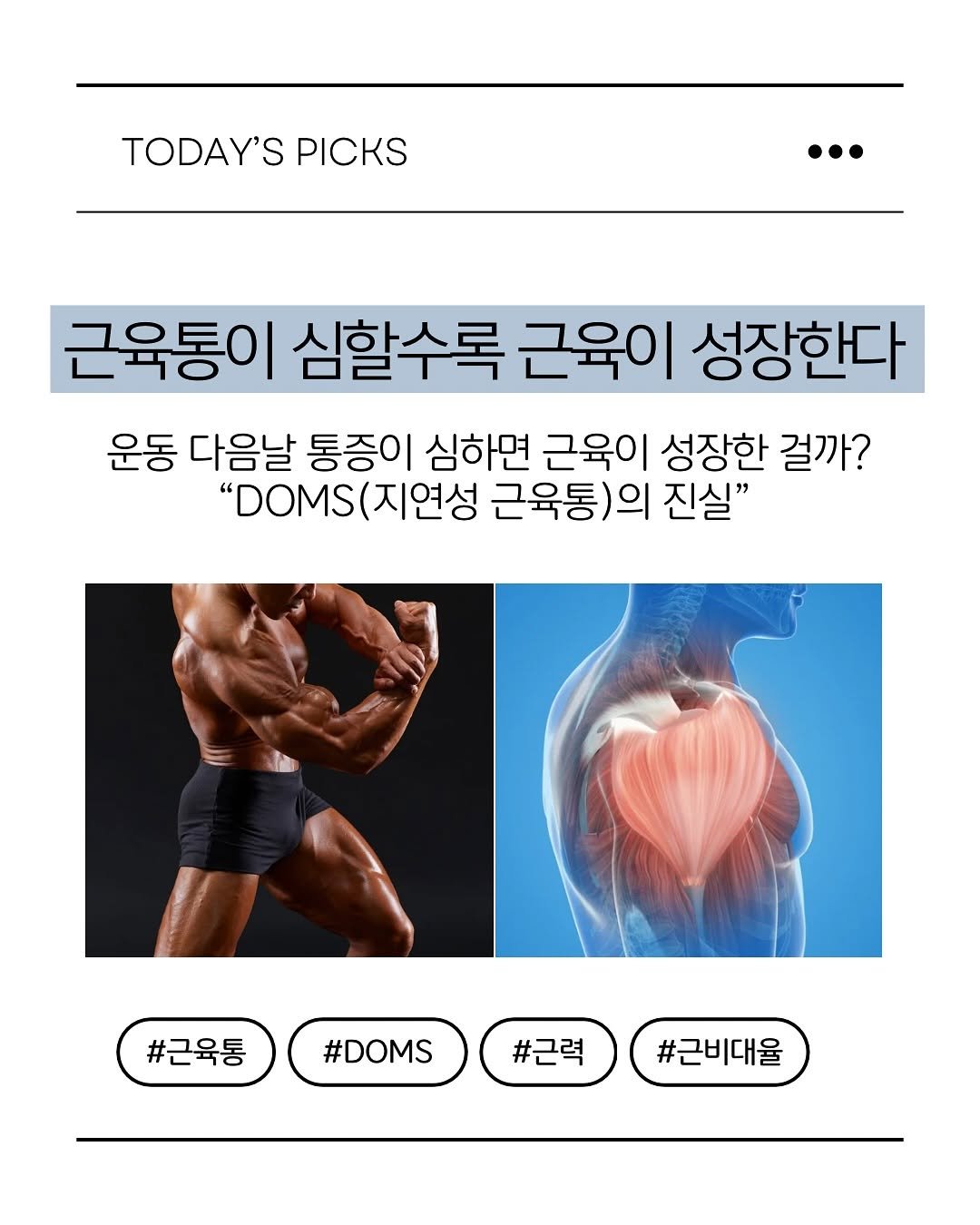 Photo by 피티 스튜디오  |  운동 가이드 채널 on November 03, 2025. May be an image of body building, magazine, poster and text that says 'TODAY'S TODAY'S PICKS 근육통이 심할수록 근육이 성장한다 운동 다음날 통증이 심하면 근육이 성장한 걸까? "DOM(지연성 (지연성 근육통)의 진실" "DOMS(| #근육통 #DOMS #근력 #근비대율'.