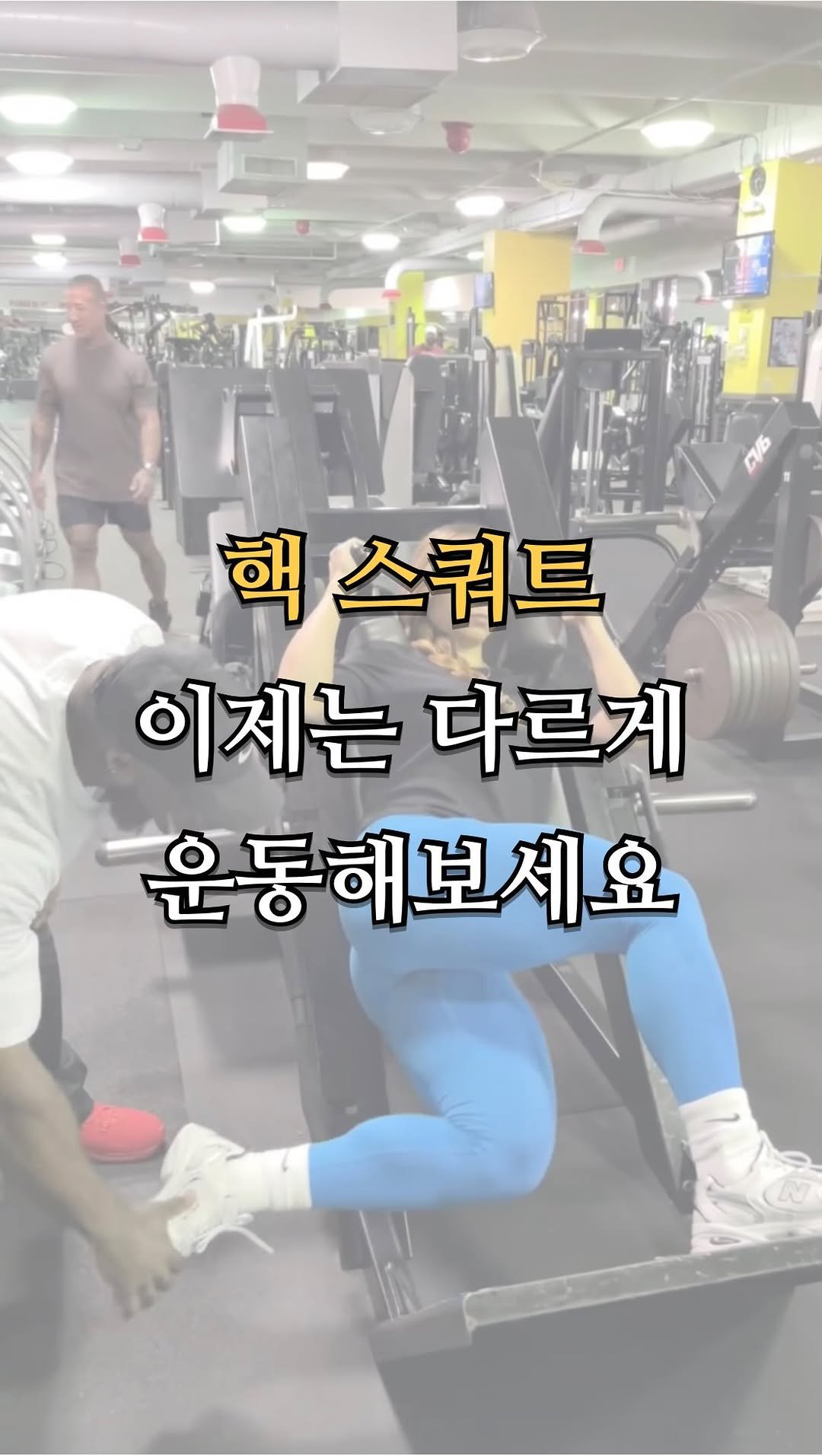 pt.studio_ 게시물 이미지: 핵 스쿼트 이제는 다르게 운동해보세요

핵 스쿼트는 “같은 기구, 같은...