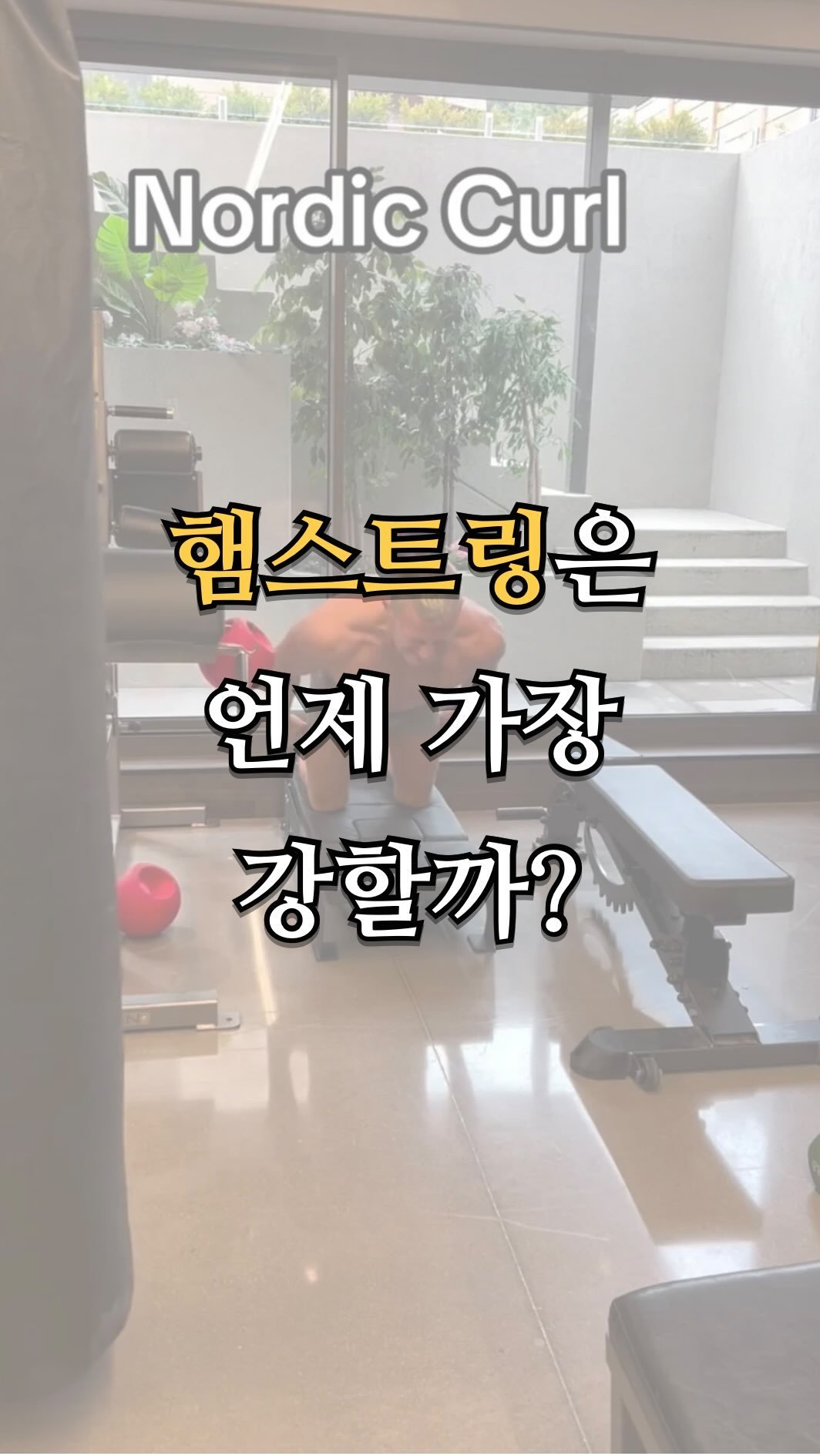 pt.studio_ 게시물 이미지: 햄스트링은 언제 가장 강할까?
노르딕 컬은 단순한 근력 운동이 아닙니다.
길어진...