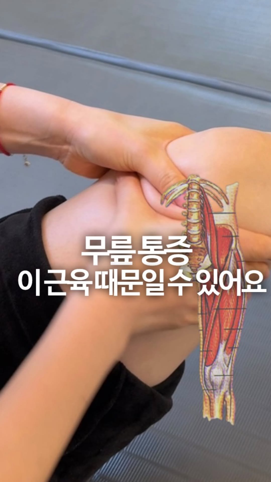 pt1_jykim 게시물 이미지: 병원에서는 괜찮다는데 무릎이 계속 아프신가요?

그렇다면
뼈나 관절 문제가 아니라...