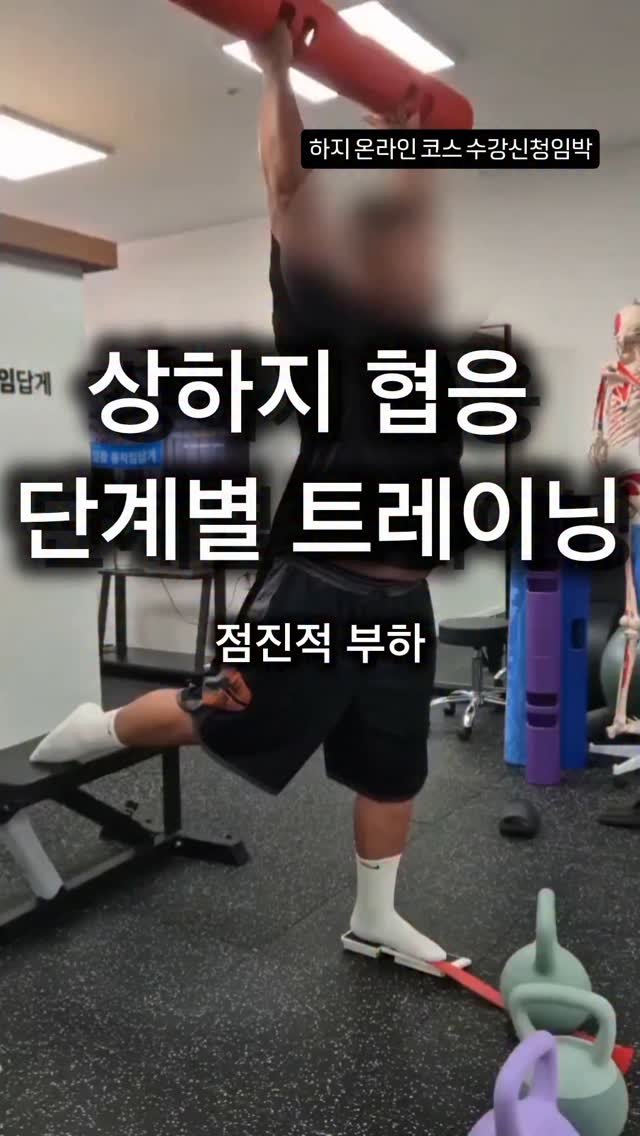 pt_beomjun 게시물 이미지: 📌 벤치 서포트 싱글 레그 데드리프트

운동 목적
-편측 하체 지지력과 고관절 힌지...