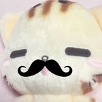 kitty365manwon 프로필 사진