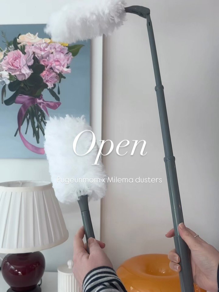 pugeunpugeunmom 게시물 이미지: #오픈#선착순이벤트 3분께 리필30매 증정🎁

아직도 물티슈로 먼지...