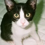 nibooyy 프로필 사진