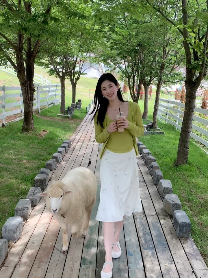 pure_hwang 게시물 이미지: 강아지 같은 양들..하얗고 귀여워🫳🏻🐑🌱