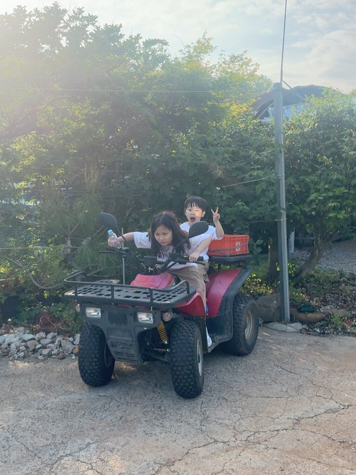 purie_cha 게시물 이미지: 🐥🏠💕🐓🐕🐟