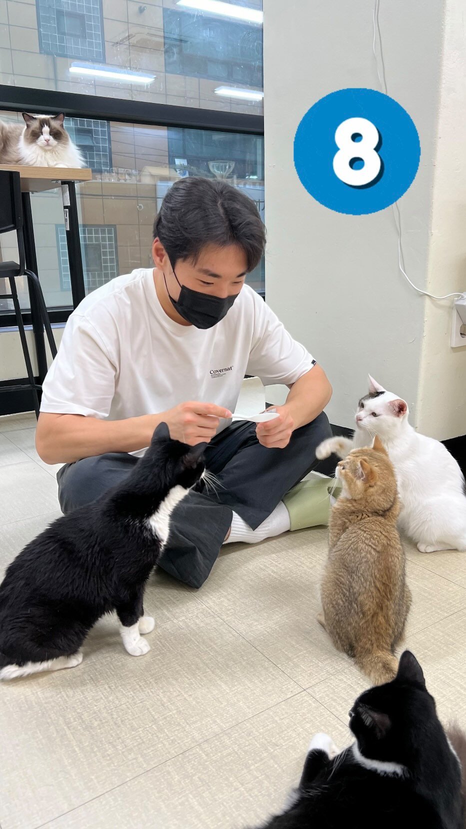 purple.real_ 게시물 이미지: 한 달에 한 번 접속하는 본캐 시리즈
8️⃣월 기록
-
#트릭킹 #tricking...