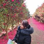 ecuni_kokkiri 프로필 사진