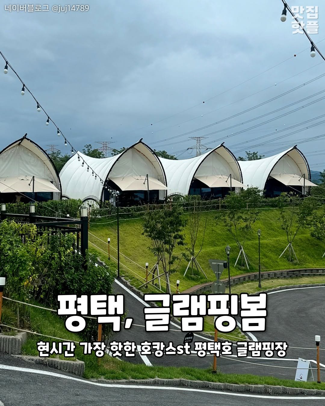 Photo by 평택맛집 평택카페 평택데이트 안성맛집 안성카페 안성데이트 on September 24, 2025. May be an image of plant, outdoors and text.