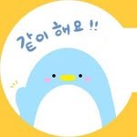 kachi_korea 프로필 사진